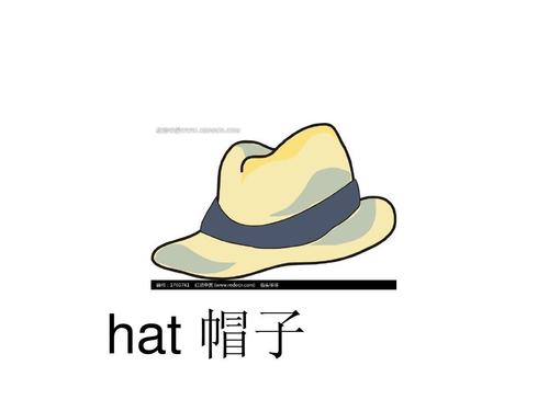 帽子英语怎么写hat