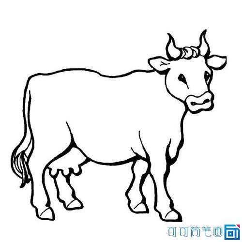画牛的图片