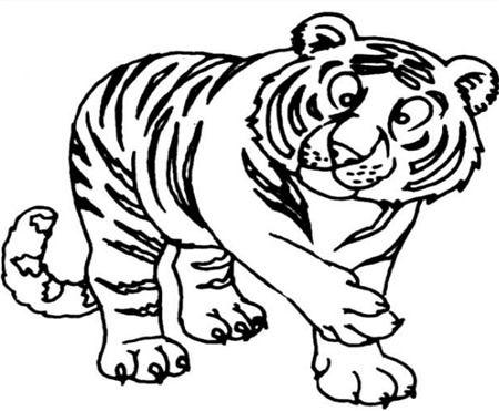 简单的老虎怎么画很好看