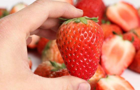 草莓能吃吗